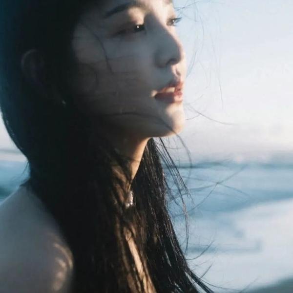 档案风暴